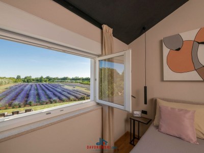 Holiday house Brajdine Lounge - Features photo 31