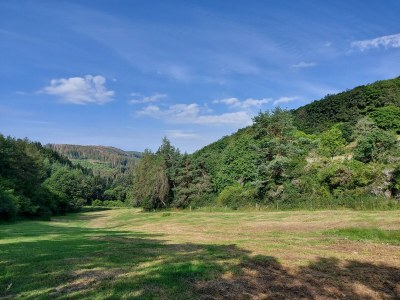 Bungalow Wildblume - Environment photo 31