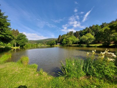 Bungalow Wildblume - Environment photo 32