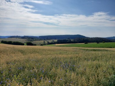 Bungalow Wildblume - Environment photo 33