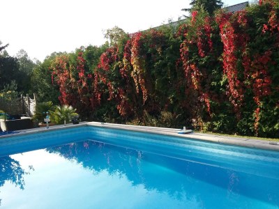 Holiday apartment in Zühlsdorf - Outdoor photo 2