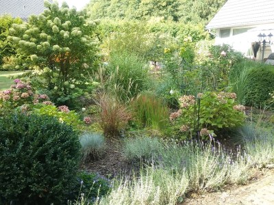 Holiday apartment in Zühlsdorf - Outdoor photo 4