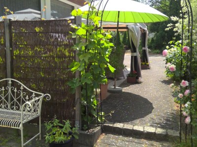 Holiday apartment in Zühlsdorf - Outdoor photo 5