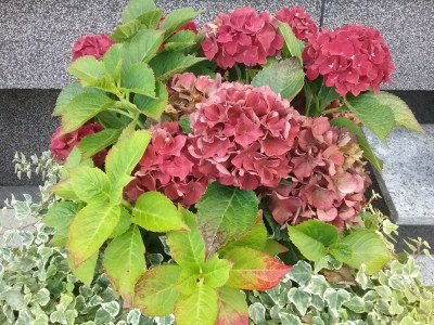 Holiday apartment in Zühlsdorf - Outdoor photo 6