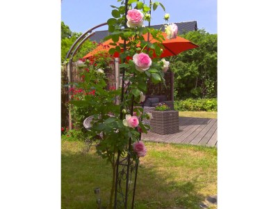 Holiday apartment in Zühlsdorf - Outdoor photo 12