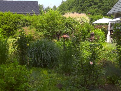 Holiday apartment in Zühlsdorf - Outdoor photo 15