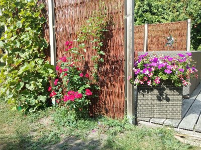 Holiday apartment in Zühlsdorf - Outdoor photo 18