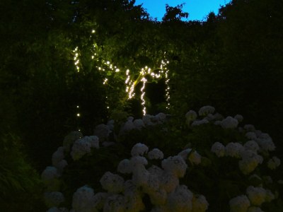 Holiday apartment in Zühlsdorf - Outdoor photo 22