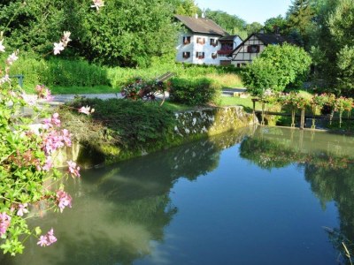 Holiday house La Maisonnette - Environment photo 19