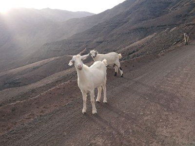 Holiday apartment "ALICIAMIN" - Environment photo 35