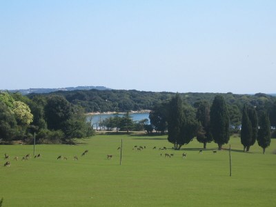 Villa Villa Smrikve Charme - Environment photo 38