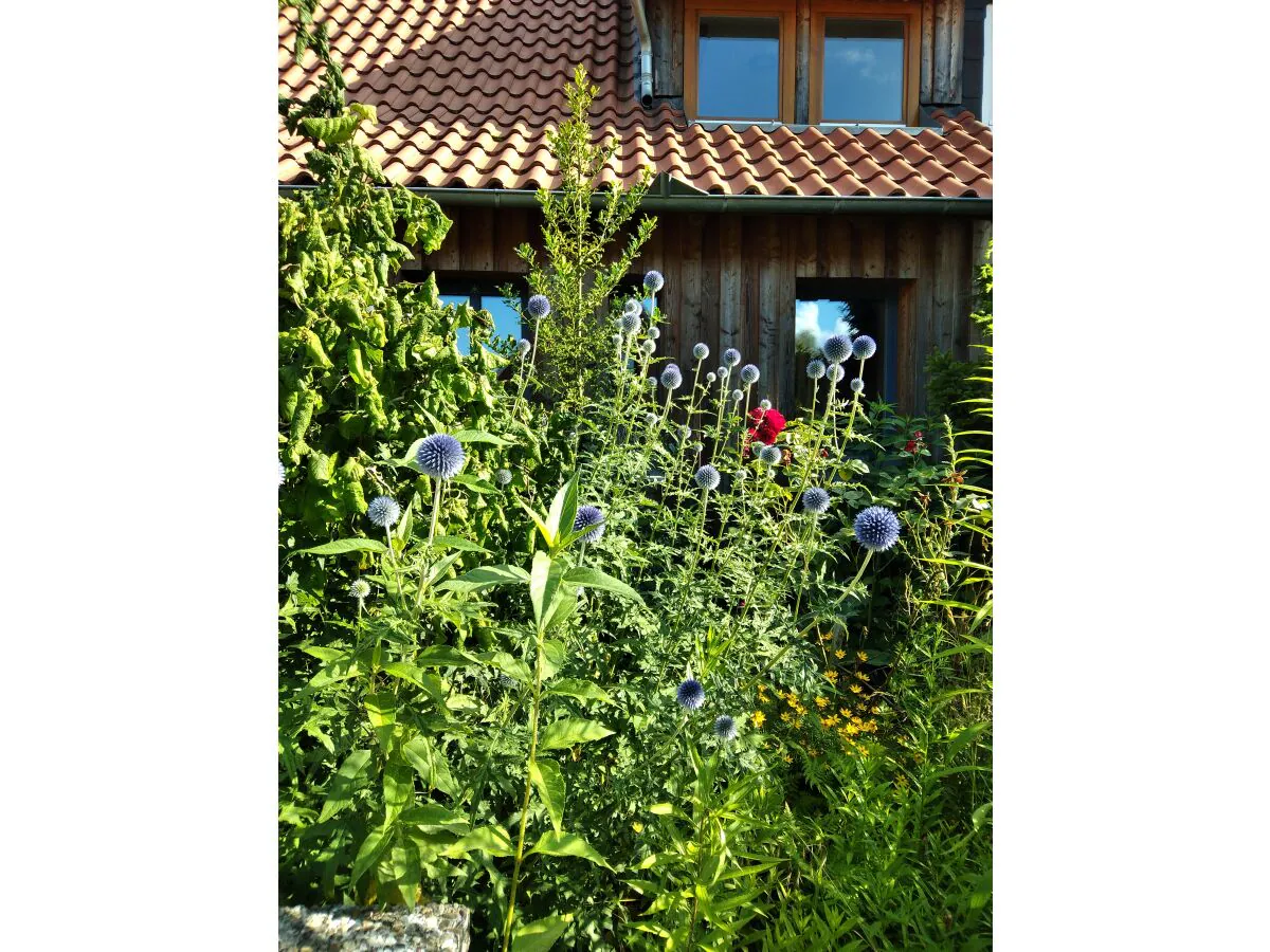 Holiday house Am Mühlenweg