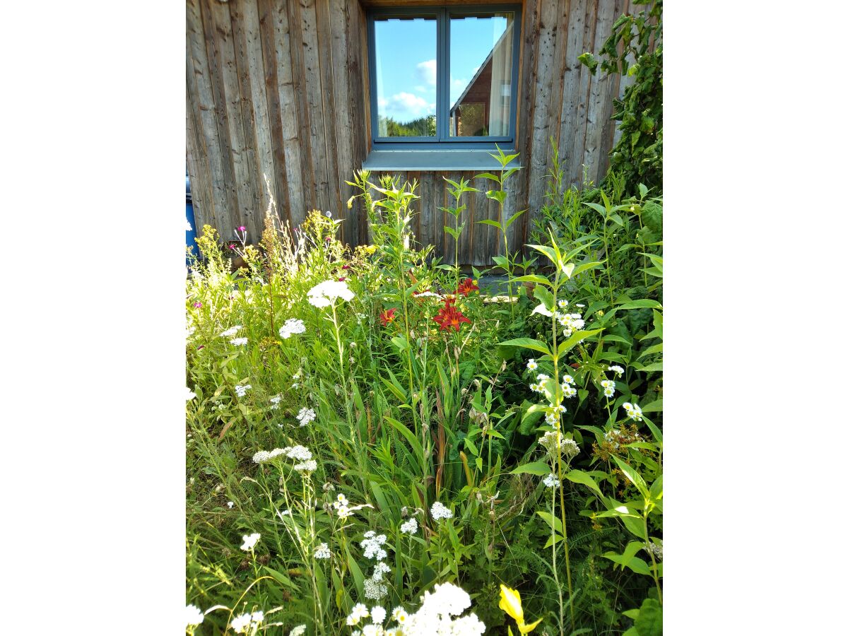 Holiday house Am Mühlenweg - Outdoor photo 3