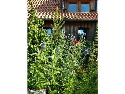 Holiday house Am Mühlenweg in Hitzacker - Holiday house