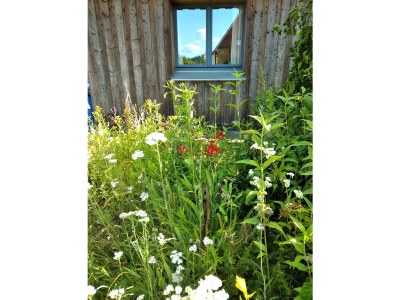 Holiday house Am Mühlenweg - Outdoor photo 3