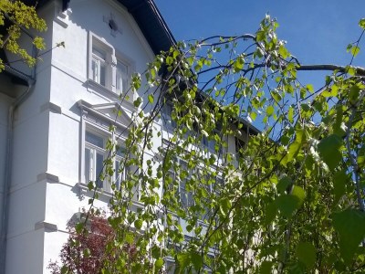 Holiday apartment Anno 1898 - Outdoor photo 11