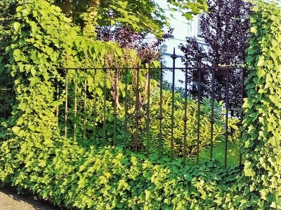 Holiday apartment Anno 1898 - Outdoor photo 14