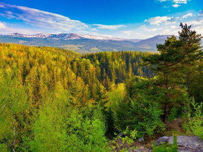 Holiday apartment Anno 1898 - Environment photo 40