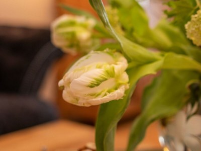 Holiday apartment Anno 1898 - Document photo 43