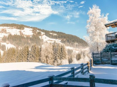 Apartment Apartment in Kirchberg near Ski Slopes - Environment photo 26