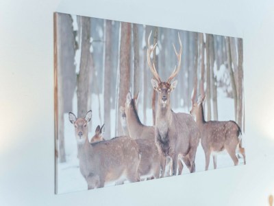 Apartment Apartment in Kirchberg near Ski Slopes - Outdoor photo 28