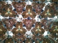 Thea und Christoph Kahl