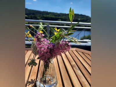 Holiday house mosel-zeit - Outdoor photo 3