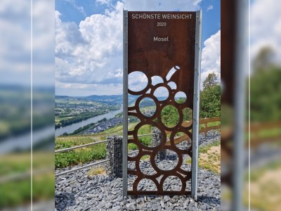 Holiday house mosel-zeit - Environment photo 28