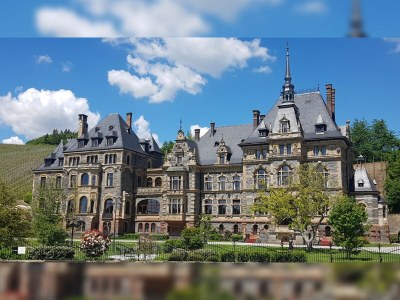 Holiday house mosel-zeit - Environment photo 30