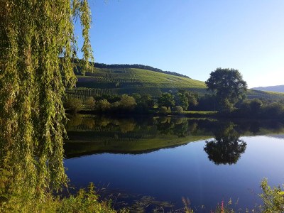 Holiday house mosel-zeit - Environment photo 31