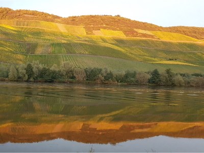 Holiday house mosel-zeit - Environment photo 34