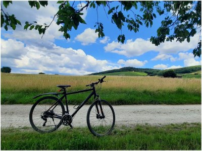 Holiday house mosel-zeit - Environment photo 35