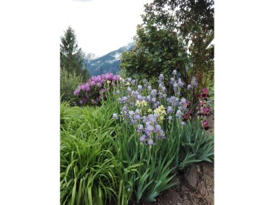 Holiday apartment Bachmaier - Outdoor photo 4