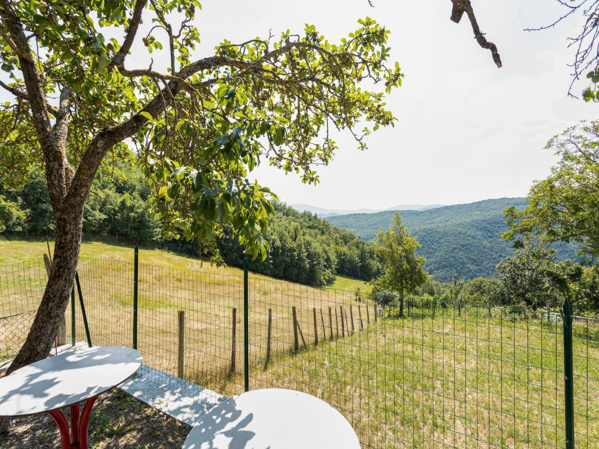 Holiday house Holiday Home in Tuscany with Private Garden - Outdoor photo 5