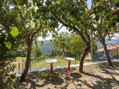 Holiday house Holiday Home in Tuscany with Private Garden - Outdoor photo 7