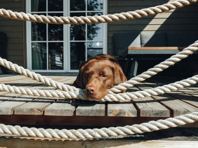 Chalet No title - Features photo 21