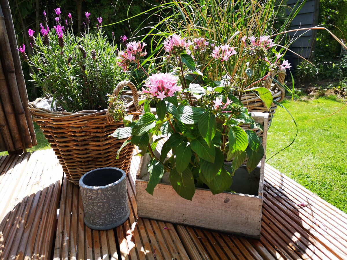 Holiday house beachhouse36 - Outdoor photo 2