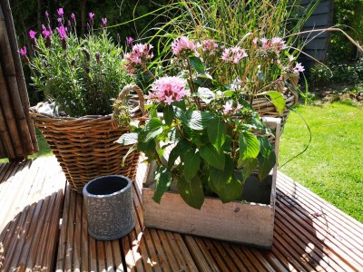 Holiday house beachhouse36 - Outdoor photo 2