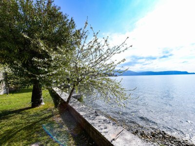 Villa Villa Magnolia a Lago - Environment photo 40