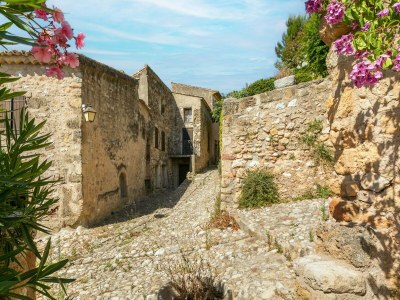 Holiday house Holiday home in Cathar village of Montouliers - Outdoor photo 8
