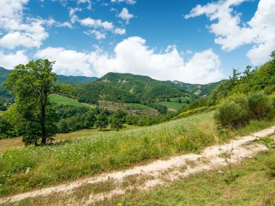 Holiday house Holiday Home in Città di Castello with Pool - Environment photo 36