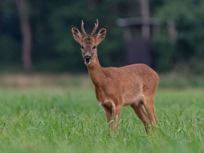 Holiday apartment No title - Environment photo 16