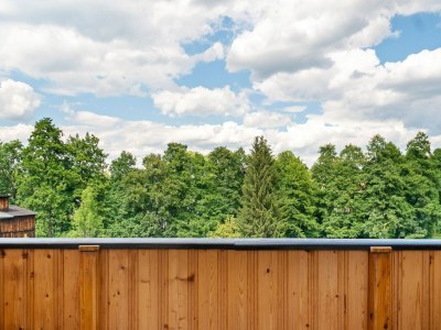 Apartment Charmante Dachgeschoss Ferienwohnung im Erzgebirge - Outdoor photo 4