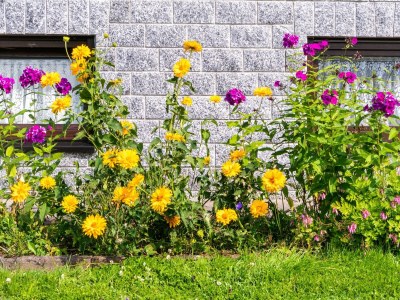 Apartment Charmante Dachgeschoss Ferienwohnung im Erzgebirge - Outdoor photo 36