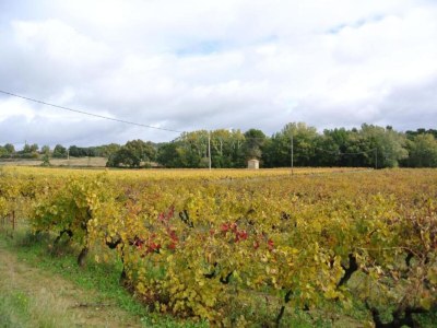 Apartment Apartment in Avignon near Palais de Papes - Environment photo 29