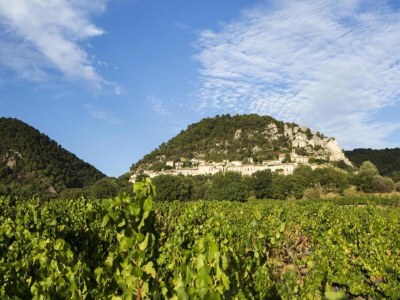 Apartment Apartment in Avignon near Palais de Papes - Environment photo 31