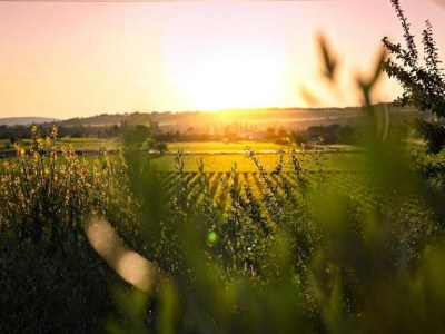 Apartment Apartment in Avignon near Palais de Papes - Environment photo 32