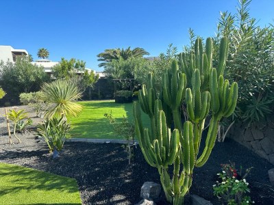 Holiday house Villa Frangipani - Outdoor photo 9