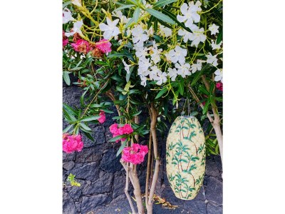 Holiday house Villa Frangipani - Outdoor photo 13