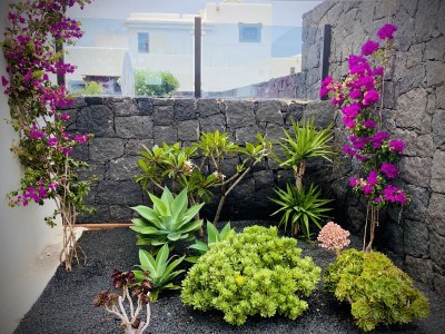 Holiday house Villa Frangipani - Outdoor photo 14